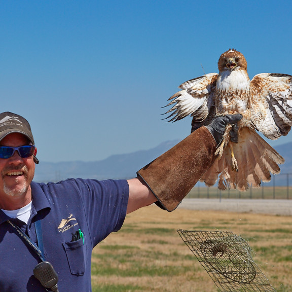 Airport Wildlife Mitigation