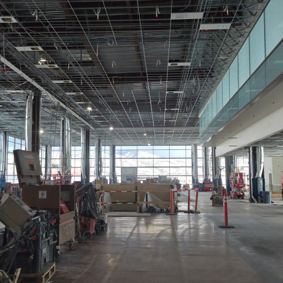 Phase 4 NCE hammerhead February 2026