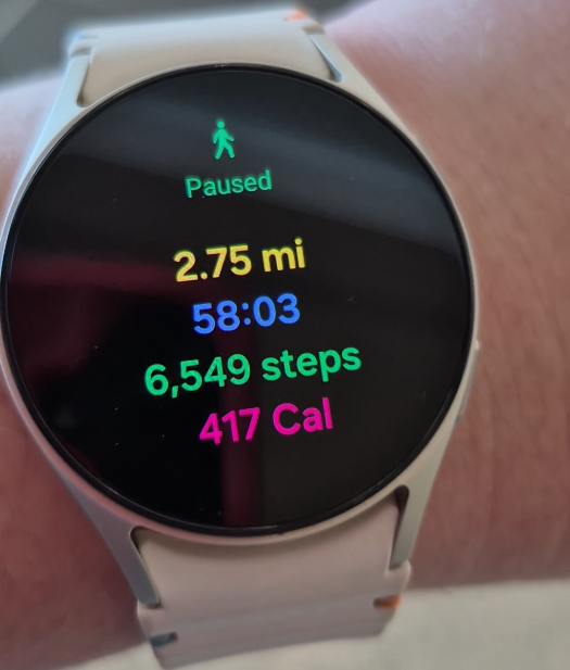 Smart watch shows 6,500 steps in 58 minutes and 2.75 miles.